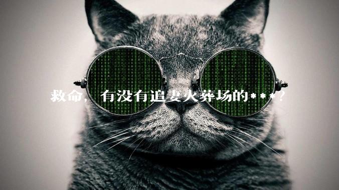 救命，有没有追妻火葬场的***？